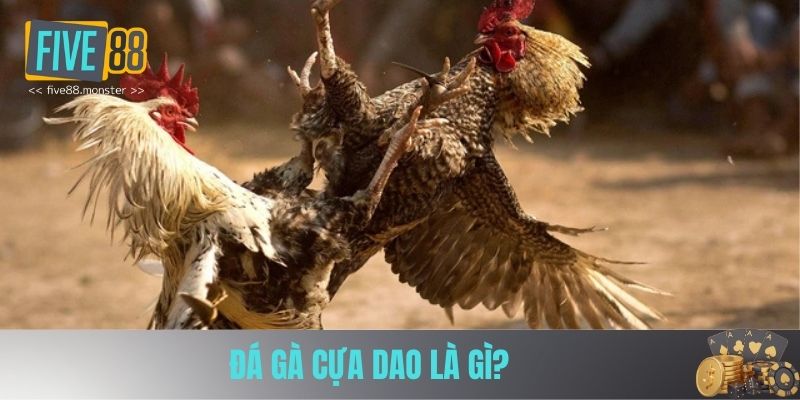 Khái niệm đá gà cựa dao