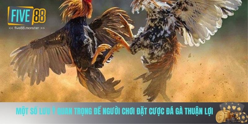 Lưu ý quan trọng khi chơi